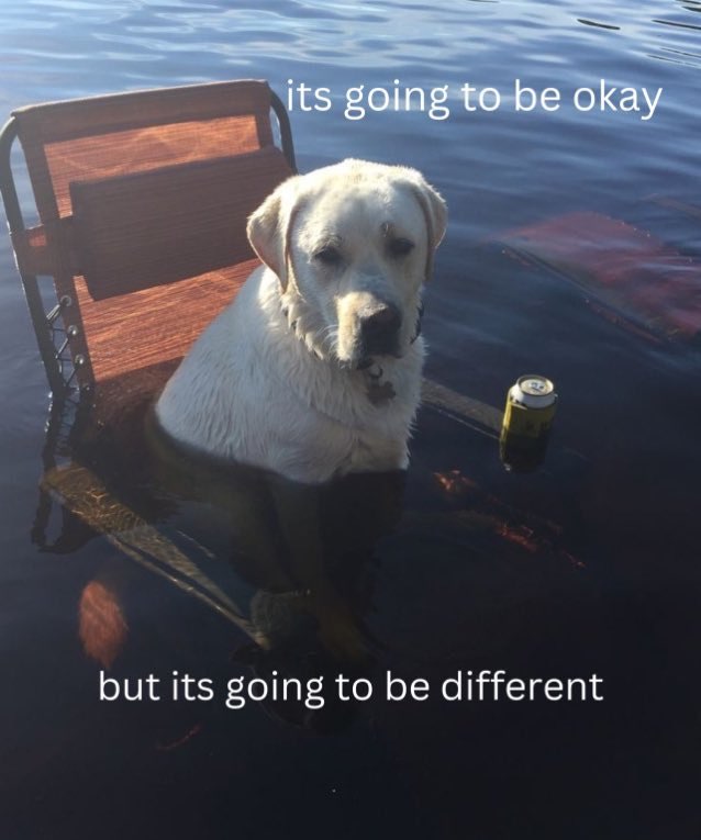 a picture of a dog sitting on a lawn chair in water with text reading: its going to be okay but its going to be different